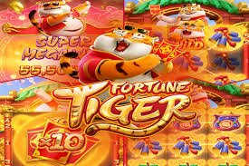 showbet