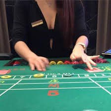 showbet